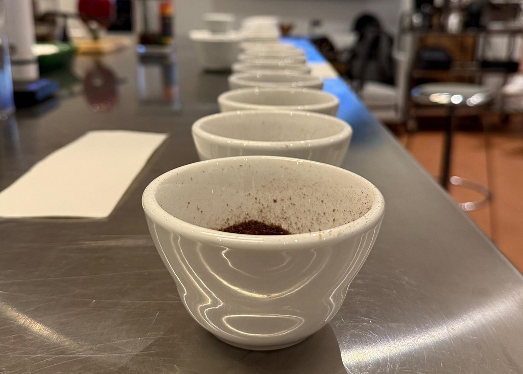 Geisha Coffee Tasting Panamas Liquid Gold Experience