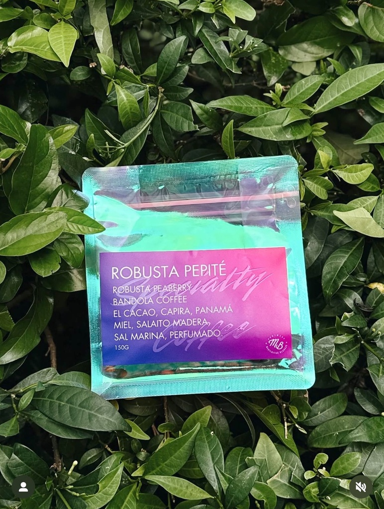 Robusta Pepité - Mentiritas Blancas