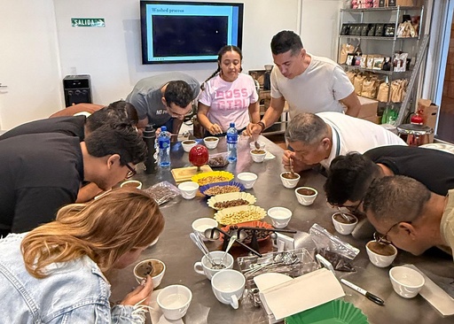 Geisha Coffee Tasting Panama's Liquid Gold Experience